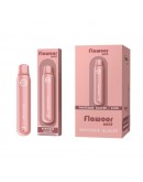 Flawoor Mate - Pastéque Glacée 600 Puff Disposable Kit