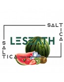 Saltica Leseath Salt Likit