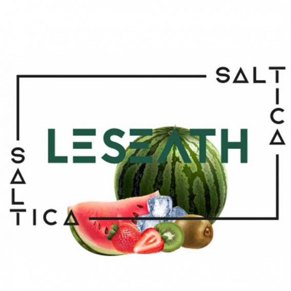 Saltica Leseath Salt Likit