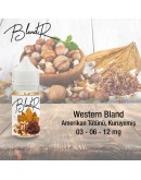BlendR - Western Blend (Tütün/ Kuru Yemiş) (30ML)
